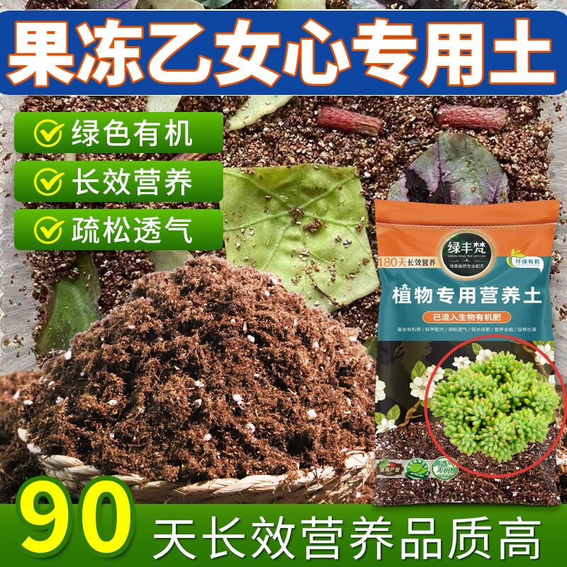 果冻乙女心专用种植土透气性佳屋顶盆栽土优质保水锁水无草籽多肉