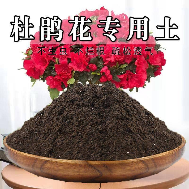 杜鹃花专用土杜鹃花土盆栽酸性土营养土养花泥土壤种植土有机肥料