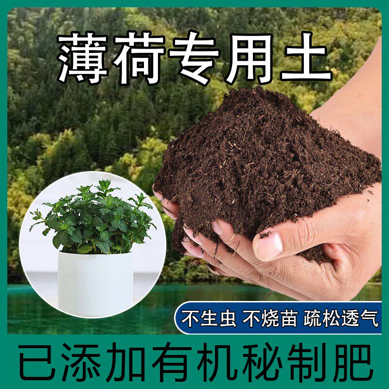 薄荷专用土肥料种菜养花盆栽绿植配方土薄荷营养土种植有机土包邮