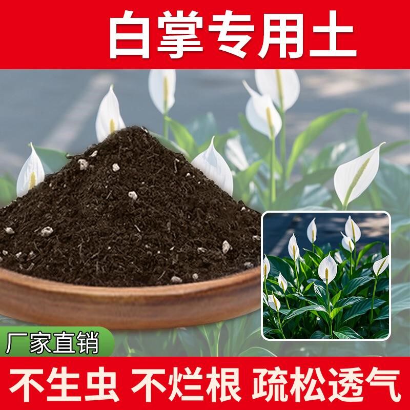 白掌专用土绿植绿植物泥土家庭育苗花土多肉土室内养花专用土蓬松