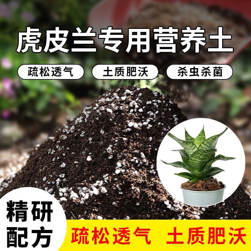 虎皮兰专用土营养土通用种花养花多肉专用土营养土有机肥料养花土