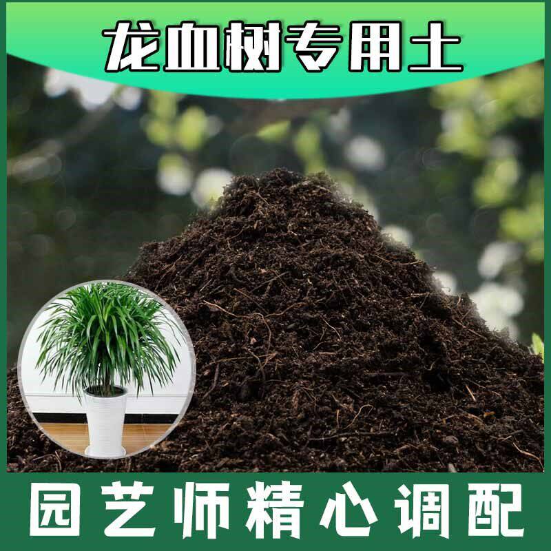 龙血树专用土腐殖土种花养花盆栽绿植土龙血树营养土种植有机土壤
