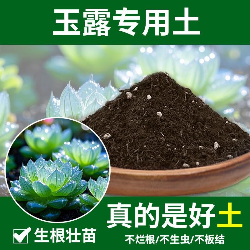 玉露专用土花卉种菜室内园艺椰砖通用玉露专用营养土育苗花土种花