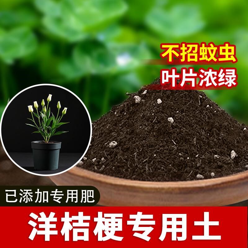 洋桔梗专用土洋桔梗专用营养土种植土花盆养花椰砖植物盆栽土壤