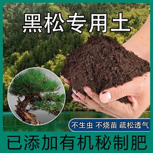 黑松土五针松罗汉松黑松黄山松专用营养土红土酸性土壤盆景土肥料
