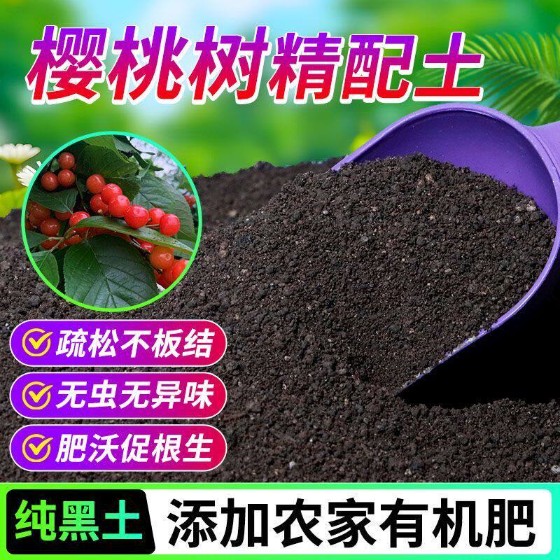 樱桃树有机营养土养花种菜专用土轻质土农家肥土疏松