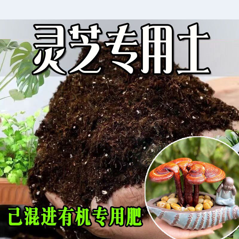 灵芝家用椰砖土不板结家庭园艺泥炭基质营养土防烂根轻质土不闷根