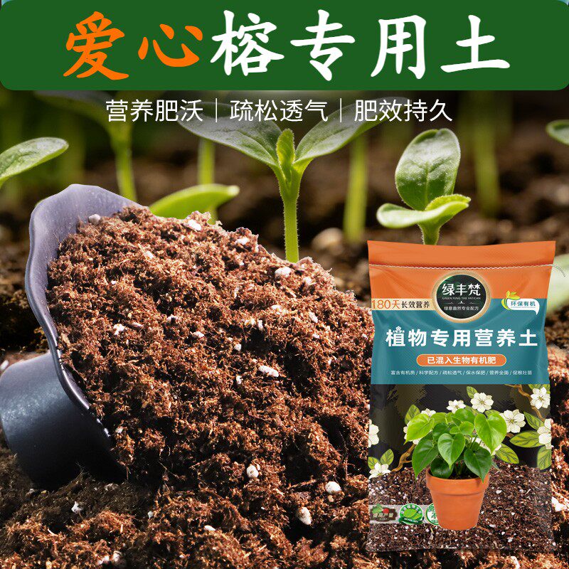 爱心榕专用土壤保水保肥栽植营养土细腻均匀维持疏松无草籽球根