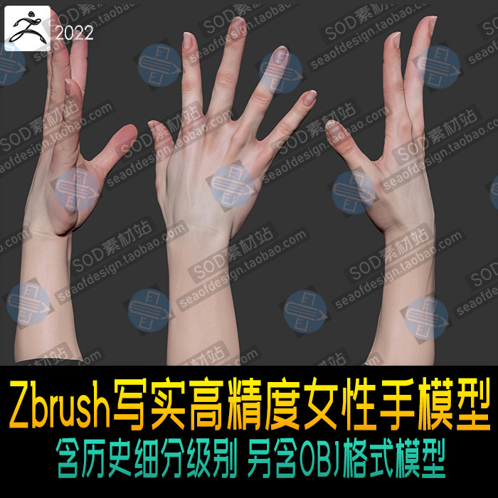 zbrush写实高精度女性手模型 含两个姿势 含细分历史