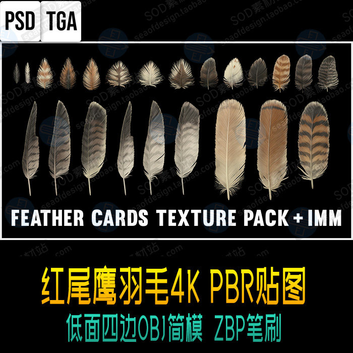 红尾鹰羽毛4K PBR贴图 低面（共8个面）四边OBJ简模 ZBP简模笔刷