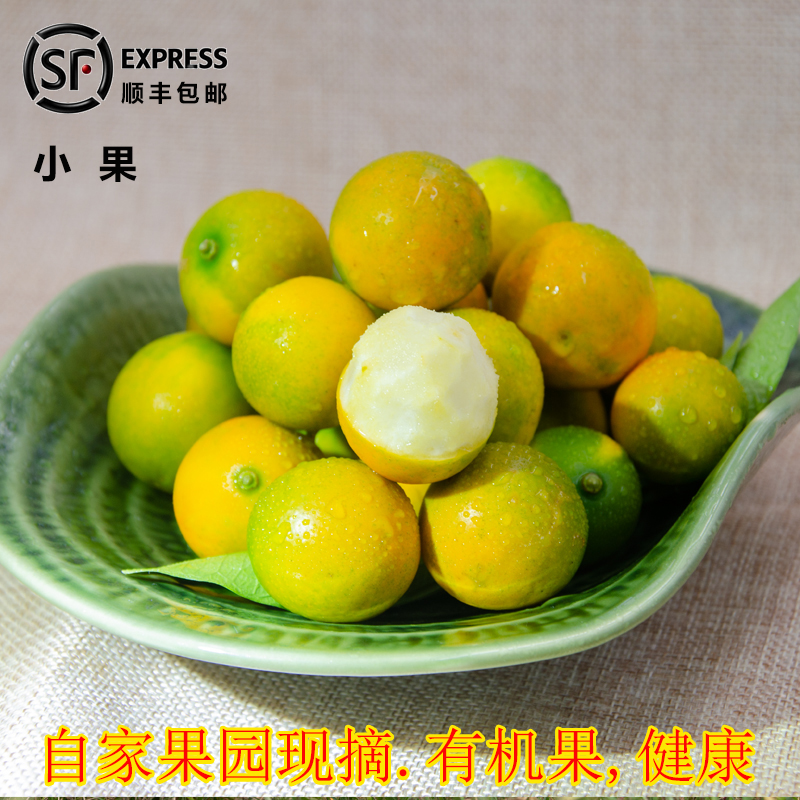 特产广西融安金桔滑皮金桔