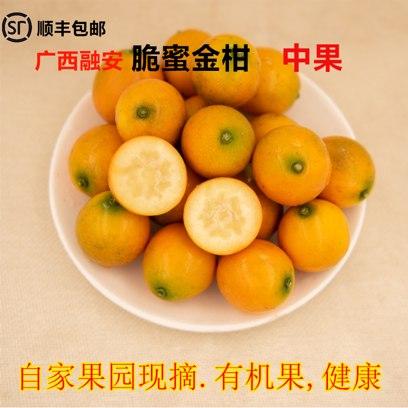 新鲜广西特产滑皮顺丰融安金桔
