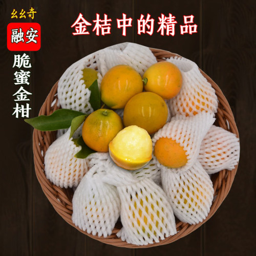 金柑价格 金柑图片 星期三