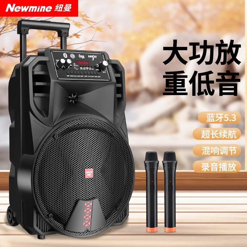 纽曼N509广场舞音响户外蓝牙音箱大音量唱k歌演出拉杆带话筒家用
