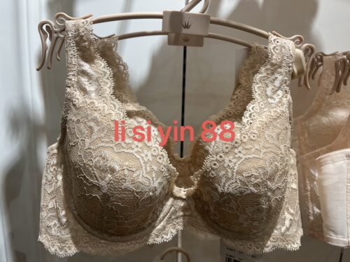 黛安芬悠然系列薄款有钢圈调整型16-8619蕾丝女士文胸16-8075