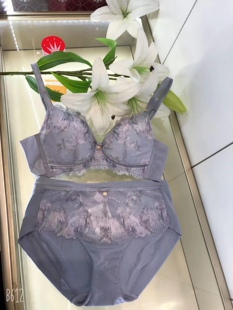 Triumph/黛安芬Florale优雅瑰印新款美背女收副乳11-1855