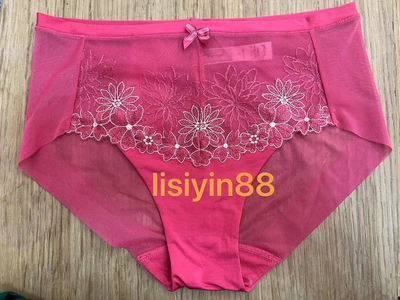 黛安芬16-8069/8166/8167 11-1549配套平角内裤87-2004