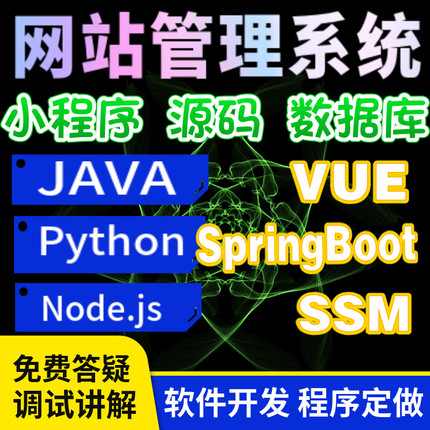 计算机专业程序设计软件系统定制开发java项目源码vue网站定做