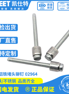 铝铁堵头铆钉02964低压发动机油堵密封铆钉全铝铆塞抽拉堵头02961