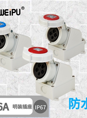 WEIPU威浦16A 明装插座 TYP6602 TYP6619 TYP6624 防水IP67 威普