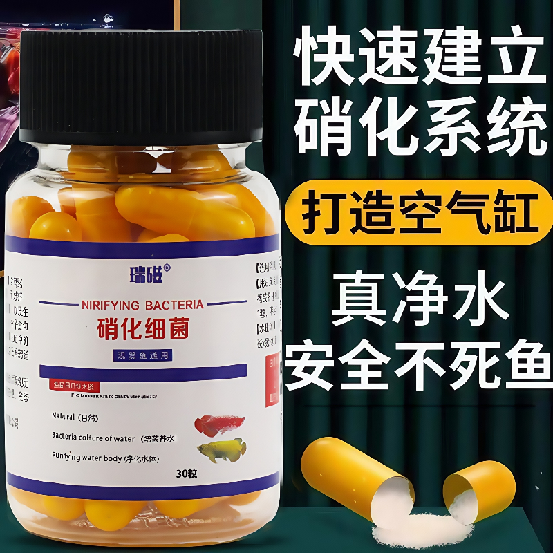硝化细菌胶囊鱼缸除臭鱼缸净水剂防臭水族用品鱼药杀菌水质除味