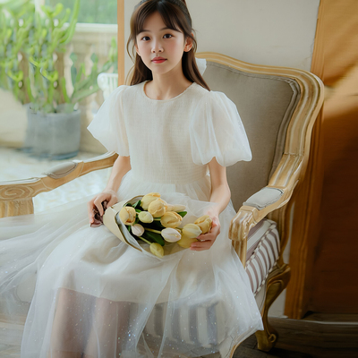 女童绝美洋气礼服网纱公主裙
