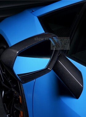 Lambo 小牛 Huracan EVO LP600 LP610 LP620 碳纤 后视镜壳 镜盖