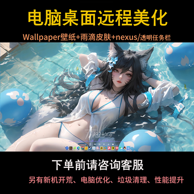 win10/11电脑桌面美化动态壁纸远程安装新机开荒垃圾清理电脑优化