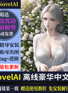 AI绘画Novelai离线版汉化版naifu中文版免费版真人转二次元动漫化