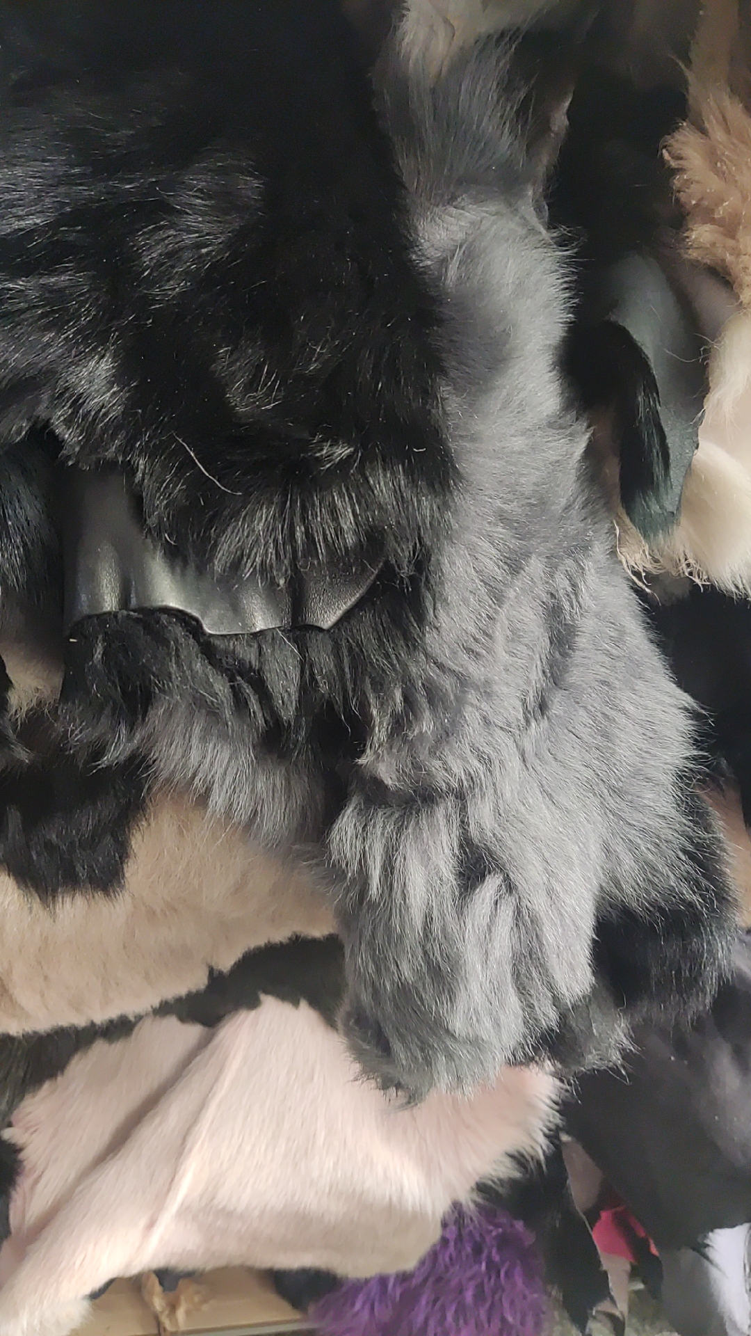 羊毛皮毛一体整料碎料 直播先挑再下单【 请勿直接下单】