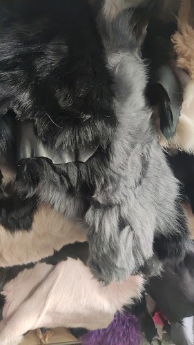 羊毛皮毛一体整料碎料 直播先挑再下单【 请勿直接下单】