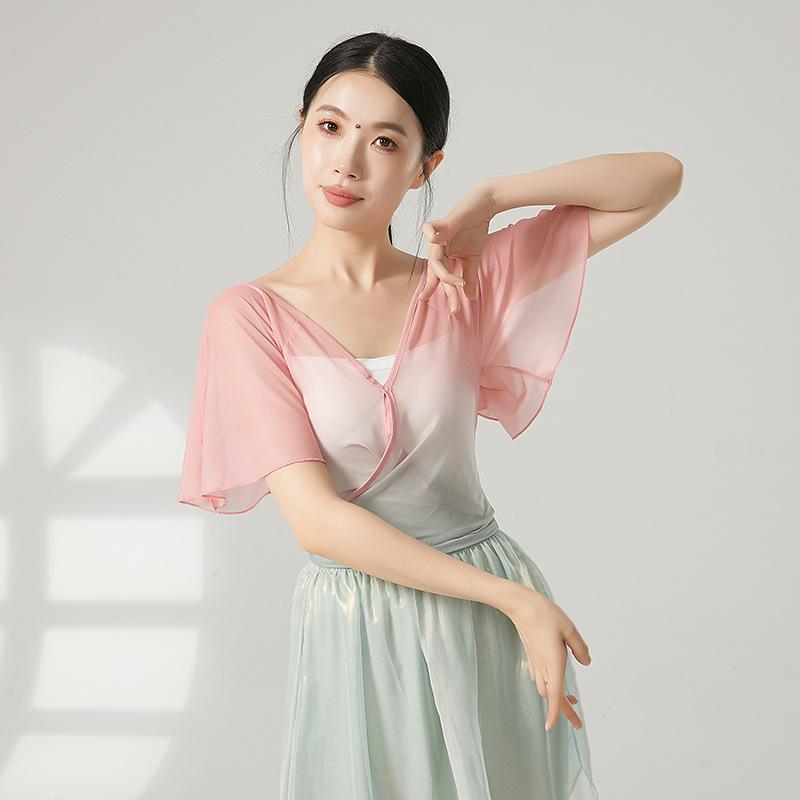 共妍開叉小飛袖古典舞藝考紗衣