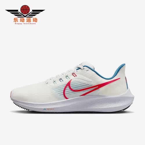 Nike/耐克正品男子跑步鞋