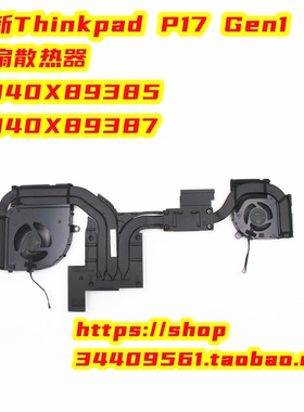 联想Thinkpad P17 Gen1风扇模组散热器5H40X89385 5H40X89387