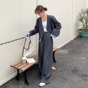 韩系高级感时尚灰色西装套装女2025春季新款休闲宽松阔腿裤两件套图片