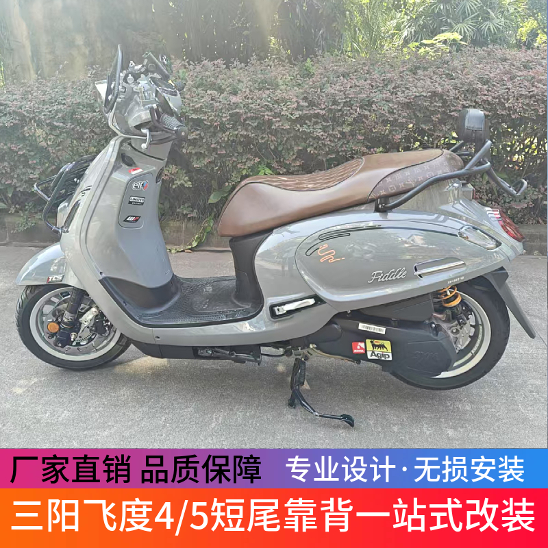适用于三阳飞度五飞度摩托四后靠背尾架货架行李架短尾一体式改装