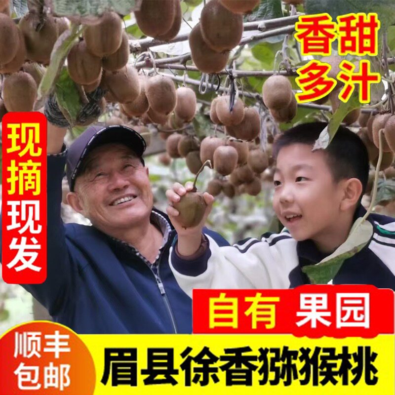 9.16发货眉县徐香猕猴桃奇异果甜自有果园不喷药老少皆宜顺丰包邮