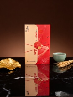 廉洁家书家庭助廉十必问家书倡议书信封信纸文化用品现货