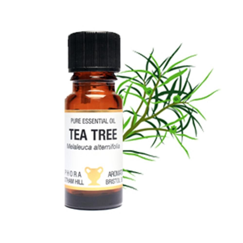 英国AA网茶树精油10ml 面部按摩护肤平衡水油专业芳疗原版原装
