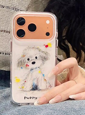 宁宁 韩系ins小众可爱潦草涂鸦狗狗双层女iPhone17Pro MobileCase