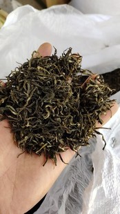 2022年新茶云南大理南涧罗伯克绿茶1公斤起包邮