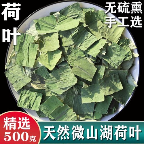 荷叶中药材泡水喝正品四川农家荷叶片新鲜无硫荷叶冬瓜山楂茶