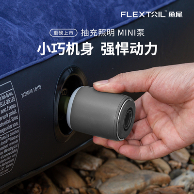 鱼尾露营便携电动抽充两用泵