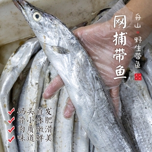 【闹妈】[热气]舟山雷达网第九封油带鱼顶带大带鱼 各种规格