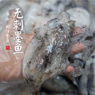 【闹妈】舟山野生无刺墨鱼/即将绝种墨鱼/长不大/很难捕捞