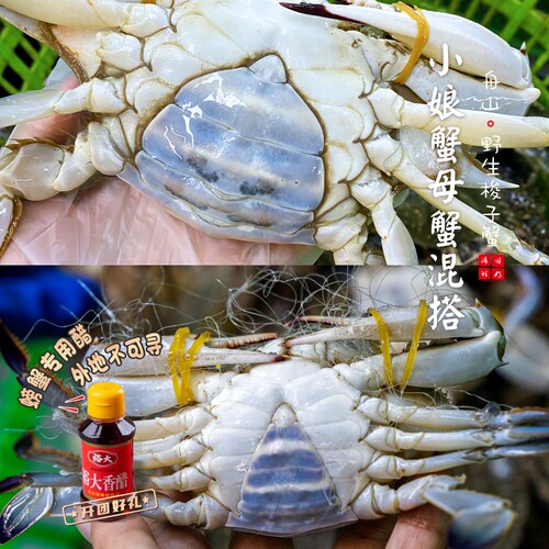 【保鲜不保活】闹妈舟山鲜梭子蟹小娘蟹肉母蟹 3两左右/只 3斤装