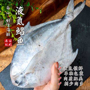【闹妈】[鲜冻]舟山银鲳鱼1条4-5两/5-6两/6-7两/7-8两 按条卖