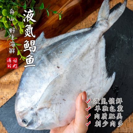 【闹妈】[鲜冻]舟山银鲳鱼1条4-5两/5-6两/6-7两/7-8两 按条卖