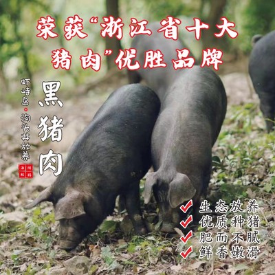 闹妈舟山虾峙沟头井海岛土猪肉