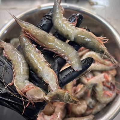 【闹妈海鲜】[受伤鱼/虾] 剥虾仁首选/亏本货/性价比高/各种规格